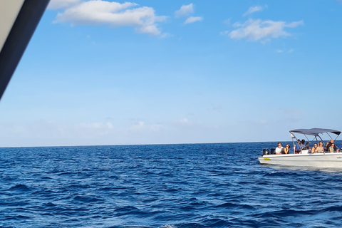 Mauritius: Fai snorkeling e nuota con i delfini con un tour in motoscafoMauritius: fai snorkeling e nuota con i delfini durante il tour in motoscafo