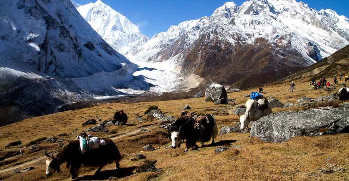 From Kathmandu :11-Day Guided Manasalu Circuit Trek | GetYourGuide