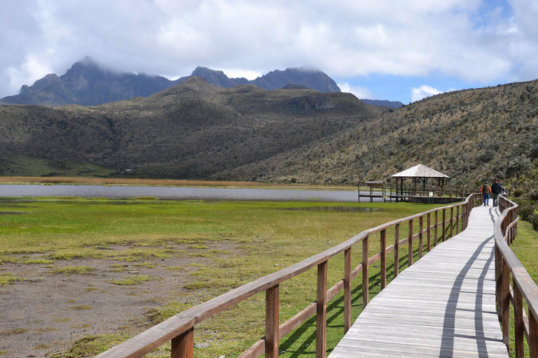 基多：玫瑰、奶酪与火山景观科托帕希一日游基多：玫瑰、奶酪与科托帕希火山一日游
