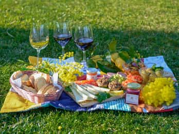 Partinico: Boerderij Augustali Wijnmakerij Tour met Picknick & Proeverijen