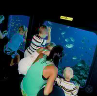 Marsa Alam, Royal Seascope Submarine Cruise with Pickup - Housity