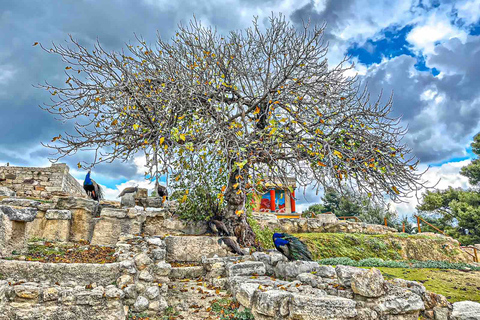 Heraklion: Archeologisch Museum van Heraklion Entree & Tour