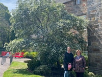 Stratford-Upon-Avon's Town Walking Tour (10,30am & 2pm) - Housity