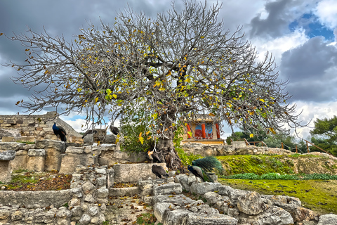 Heraklion: Archeologisch Museum van Heraklion Entree & Tour