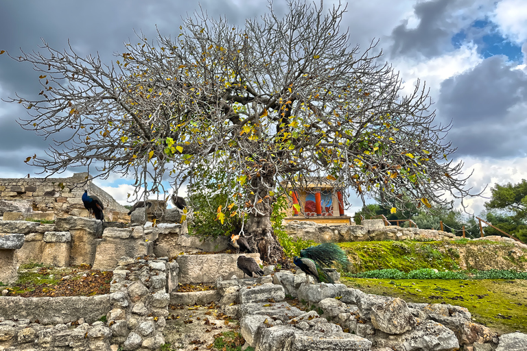 Heraklion: Archeologisch Museum van Heraklion Entree & Tour