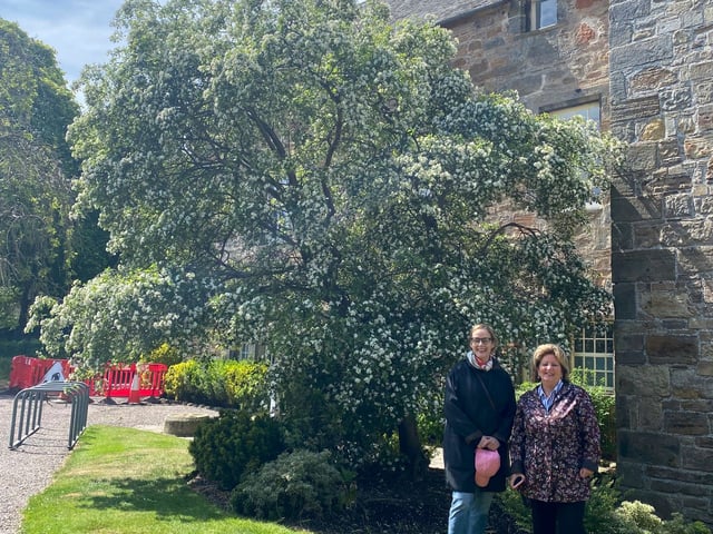 Stratford-Upon-Avon : Visite guidée privée avec un guide régional