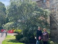 Stratford-Upon-Avon, Private Walking Tour with Local Guide - Housity