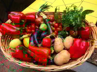 Piano di Sorrento, cours de cuisine avec dégustation de nourriture et vin - Housity