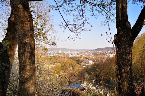 Stuttgart: moderne architectuur & natuur wandeling met gids