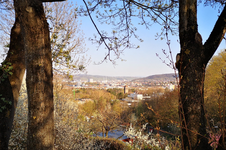 Stuttgart: moderne architectuur & natuur wandeling met gids