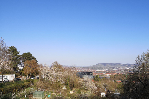 Stuttgart: moderne architectuur & natuur wandeling met gids