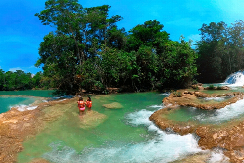 From Palenque: Roberto Barrios Waterfalls Excursion Pick up & Drop off in Palenque