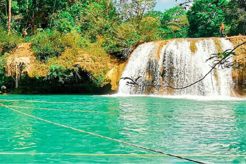 From Palenque: Roberto Barrios Waterfalls Excursion Pick up & Drop off in Palenque