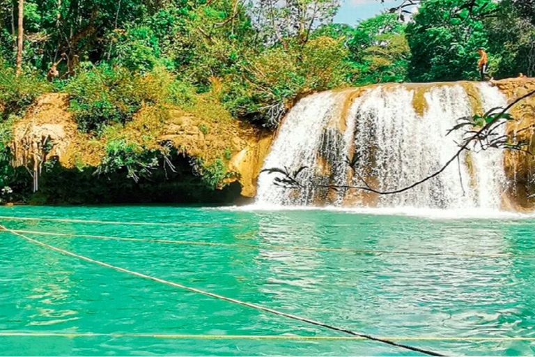From Palenque: Roberto Barrios Waterfalls Excursion Pick up & Drop off in Palenque