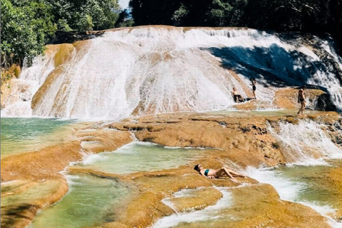 From Palenque: Roberto Barrios Waterfalls Excursion Pick up & Drop off in Palenque