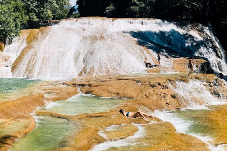 From Palenque: Roberto Barrios Waterfalls Excursion Pick up & Drop off in Palenque