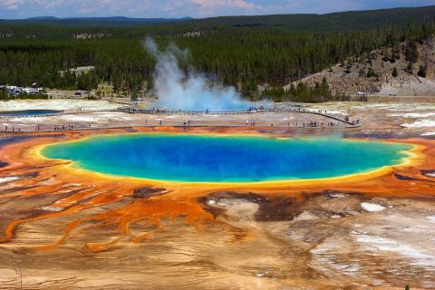Yellowstone: Day Tour with Lake Cruise, Wildlife, and Lunch