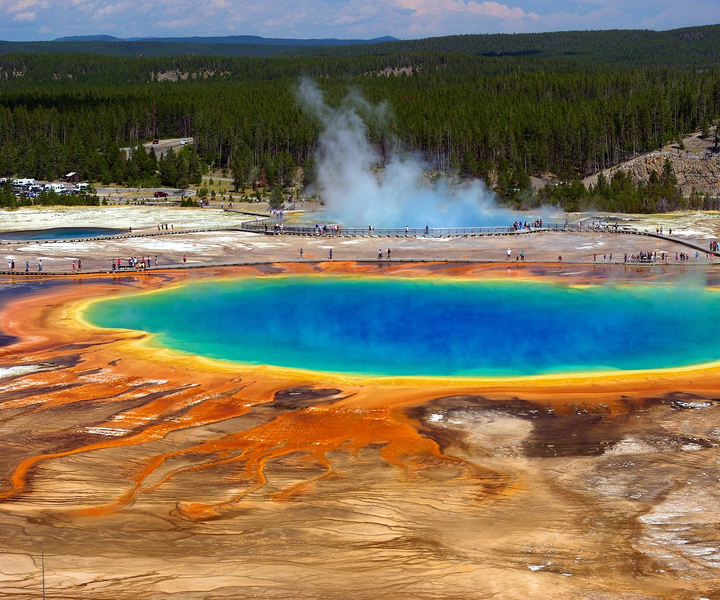 Yellowstone: Day Tour with Lake Cruise, Wildlife, and Lunch