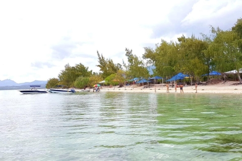 Speed boat to Ile aux Benitier: Dolphin Encounter & Lunch