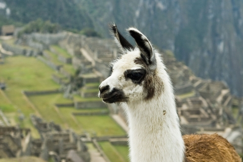 Circuit Cusco et Machu Picchu 5 jours 4 nuits