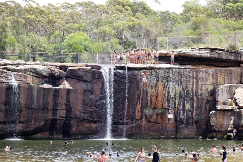 Z Sydney: prywatna wycieczka do Królewskiego Parku Narodowego