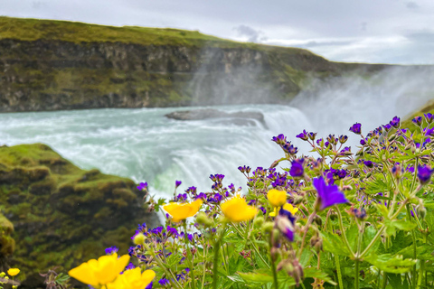 Reykjavík: Golden Circle &amp; Secret Lagoon Day Trip with Lunch