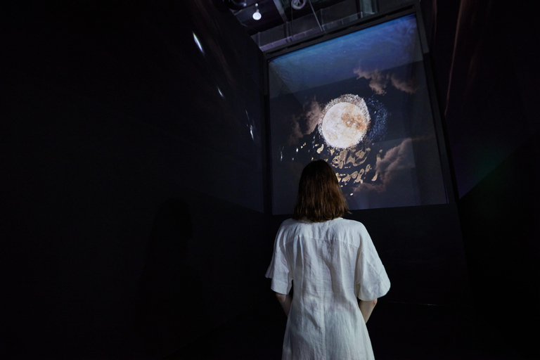 Paju: Museum HEI Immersive Media Art Exhibition Entry Ticket