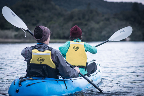 Rotorua: Kajaktocht met gloeiwormen