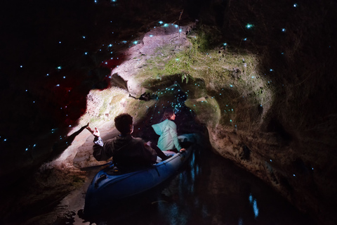 Rotorua: Tour in kayak con i vermi luminosi