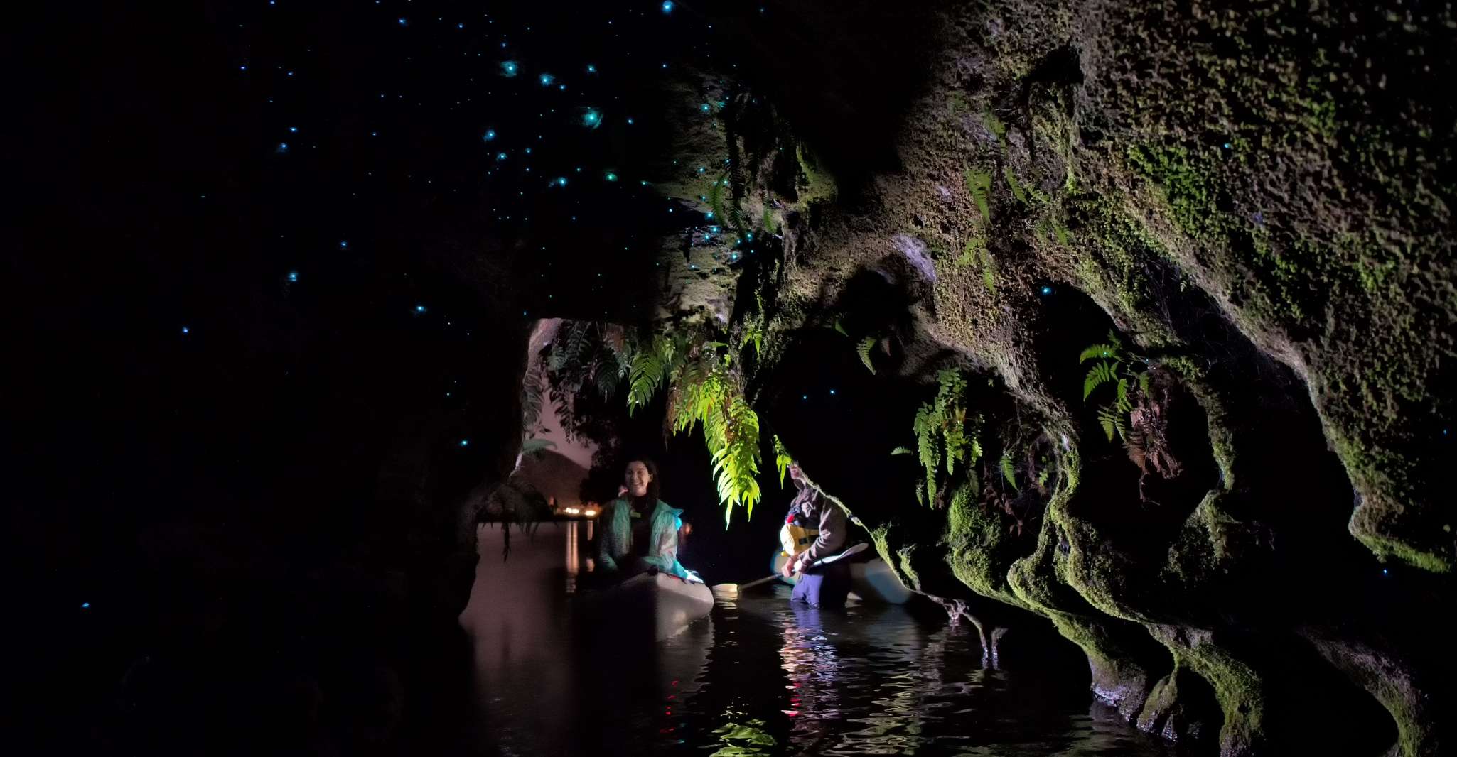 Rotorua, Evening Glow Worm Guided Kayaking Tour - Hizvo