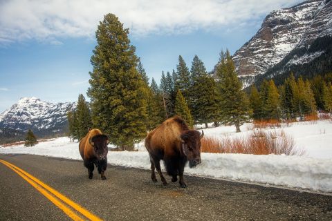 Southwestern 8-Day Tour: Antelope+Yellowstone+6 more Parks