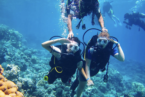 Buceo por primera vez y buceo certificado