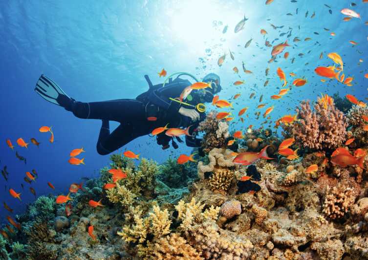 From Pattaya: Snorkeling and Beginner Scuba Diving Tour