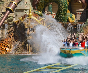 Gardaland Park and SEA LIFE: Open Date Entry Ticket