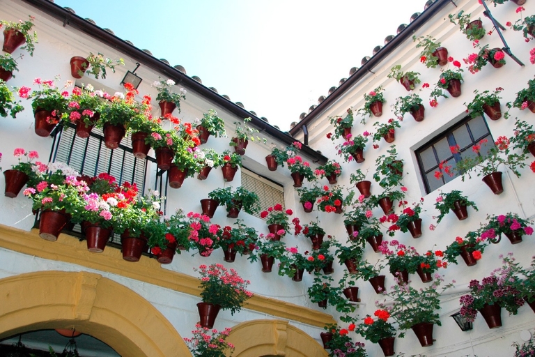 Un día en Córdoba con toda tranquilidad: Desde la Costa del SolDesde Benalmádena (Hotel Estival)