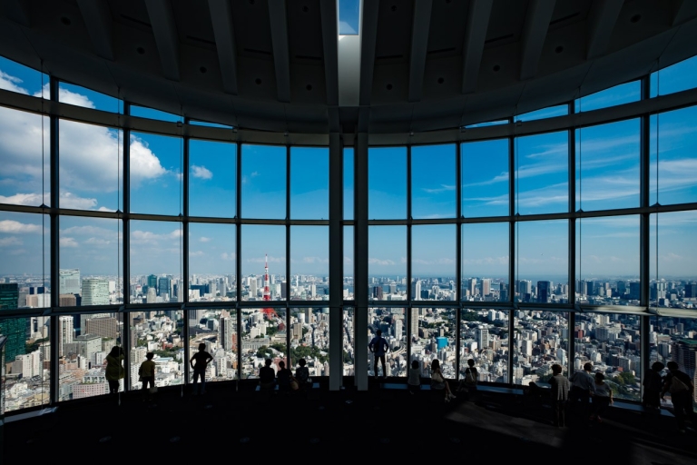 Tokio: Roppongi Hills Observatorium Ticket