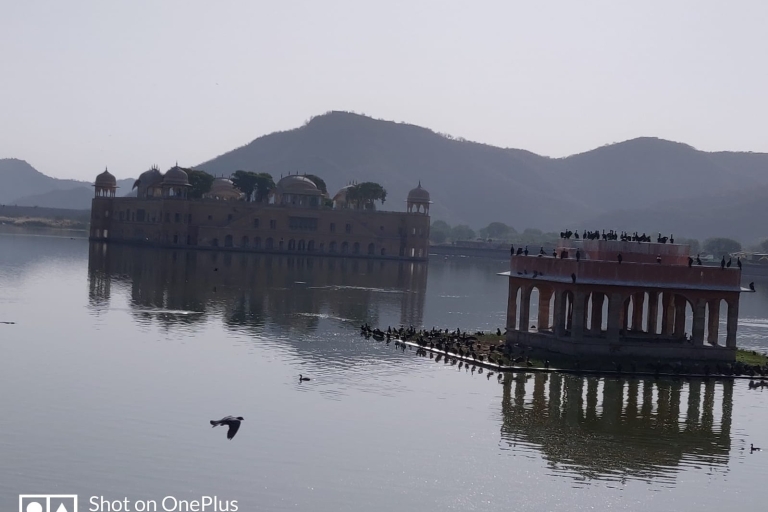 Visita privada a Jaipur desde Delhi en coche - Todo incluidoTodo incluido