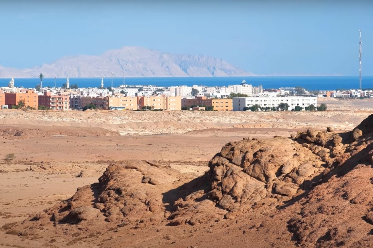 Sharm El Sheikh : Tour de ville privé avec dîner de fruits de mer