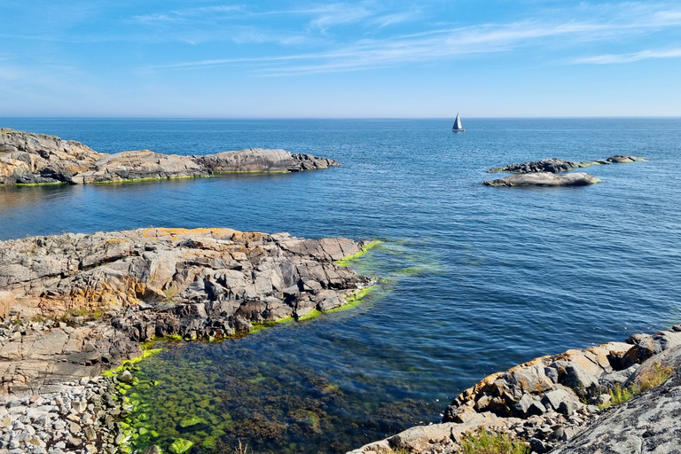 Desde Estocolmo: Excursión por el archipiélago hasta el faro de LandsortDesde Estocolmo: Faro de Landsort y excursión a una isla remota