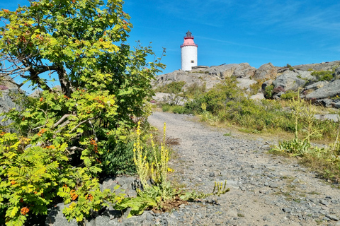 Desde Estocolmo: Excursión por el archipiélago hasta el faro de LandsortDesde Estocolmo: Faro de Landsort y excursión a una isla remota