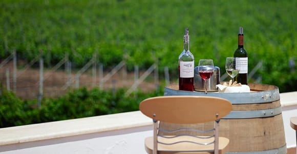 From Kos: Tour of 2 Wineries with Wine Tasting & Small Bites