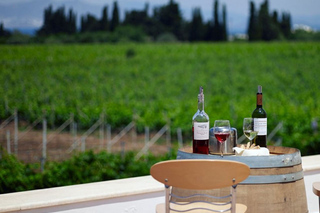 Gastronomic Experiences in Kos