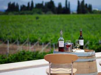 From Kos: Tour of 2 Wineries with Wine Tasting & Small Bites
