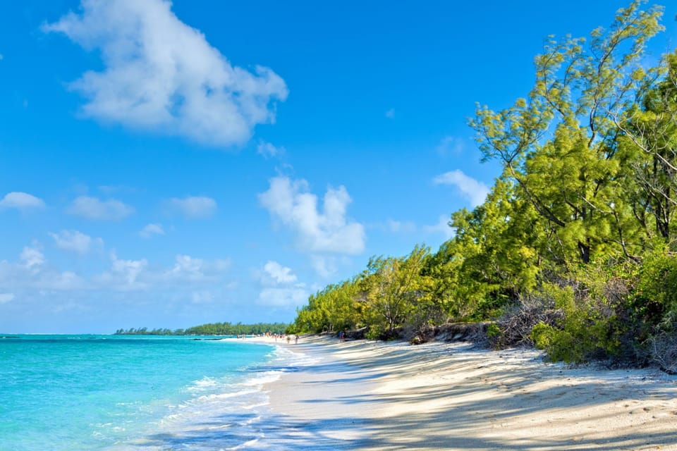 Mauritius: Ile Aux Cerfs Catamaran Trip w/ Lunch & Transfer | GetYourGuide