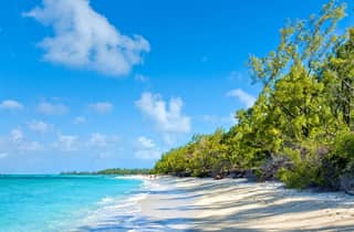 Mauritius: Ile Aux Cerfs Catamaran Trip w/ Lunch & Transfer