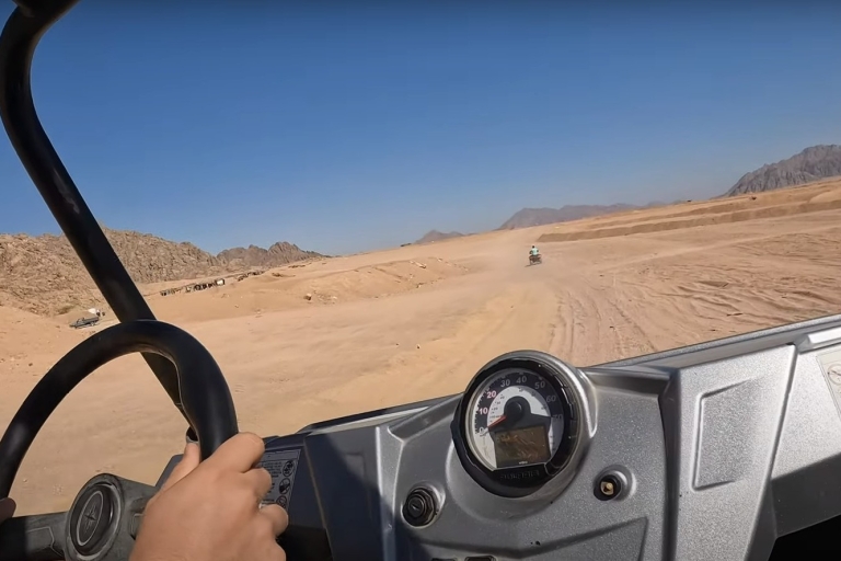 Sharm el-Sheikh: Excursión de un día a un pueblo beduino y a un buggy en el desiertoPaseo en buggy doble, visita a un pueblo beduino y té tradicional