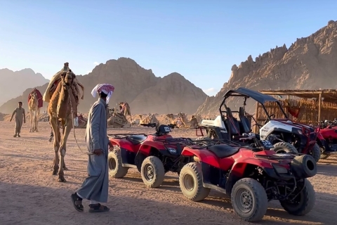 Sharm el-Sheikh : Village bédouin et excursion d'une journée dans le désert en buggyPromenade en buggy en famille, village bédouin et thé