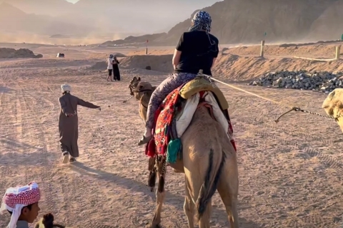 Sharm el-Sheikh: Excursión de un día a un pueblo beduino y a un buggy en el desiertoPaseo familiar en buggy, pueblo beduino y té