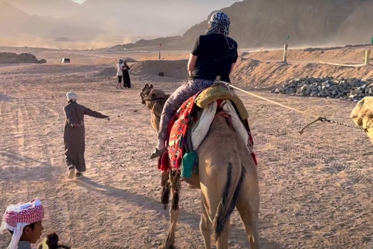 Sharm el-Sheikh: Beduin Village i Buggy Desert Day TourJazda na podwójnym buggy, herbata, przejażdżka na wielbłądach, kolacja i pokaz