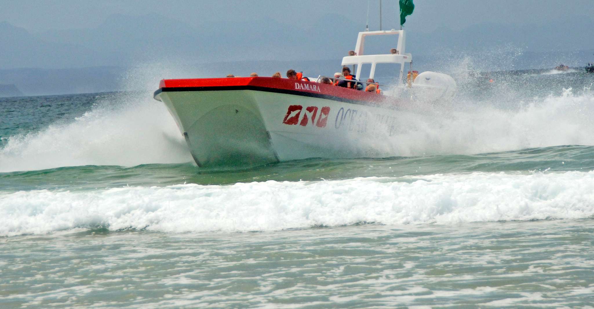 Pettenberg Bay, Dolphin & Marine Tours - Hizvo